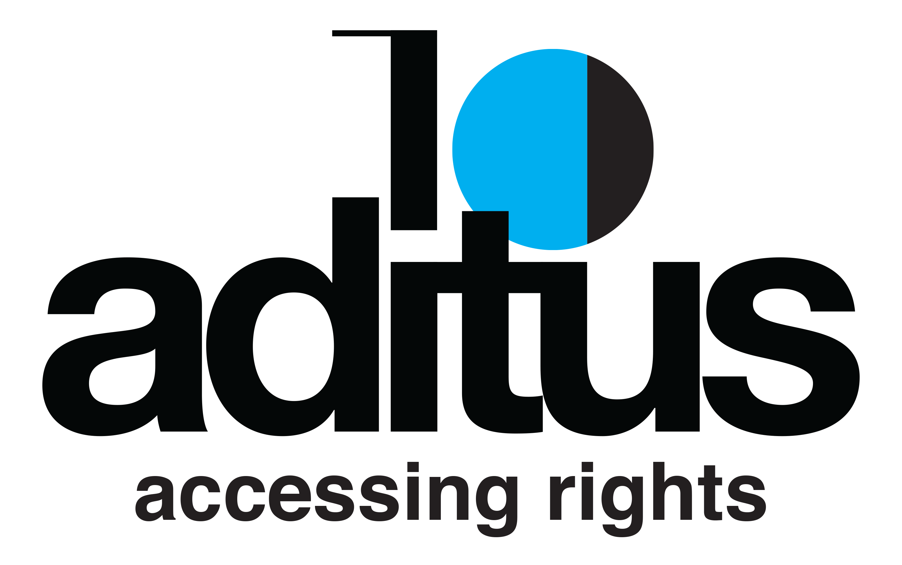 aditus foundation branding logo design by Alexandra Pace Studio