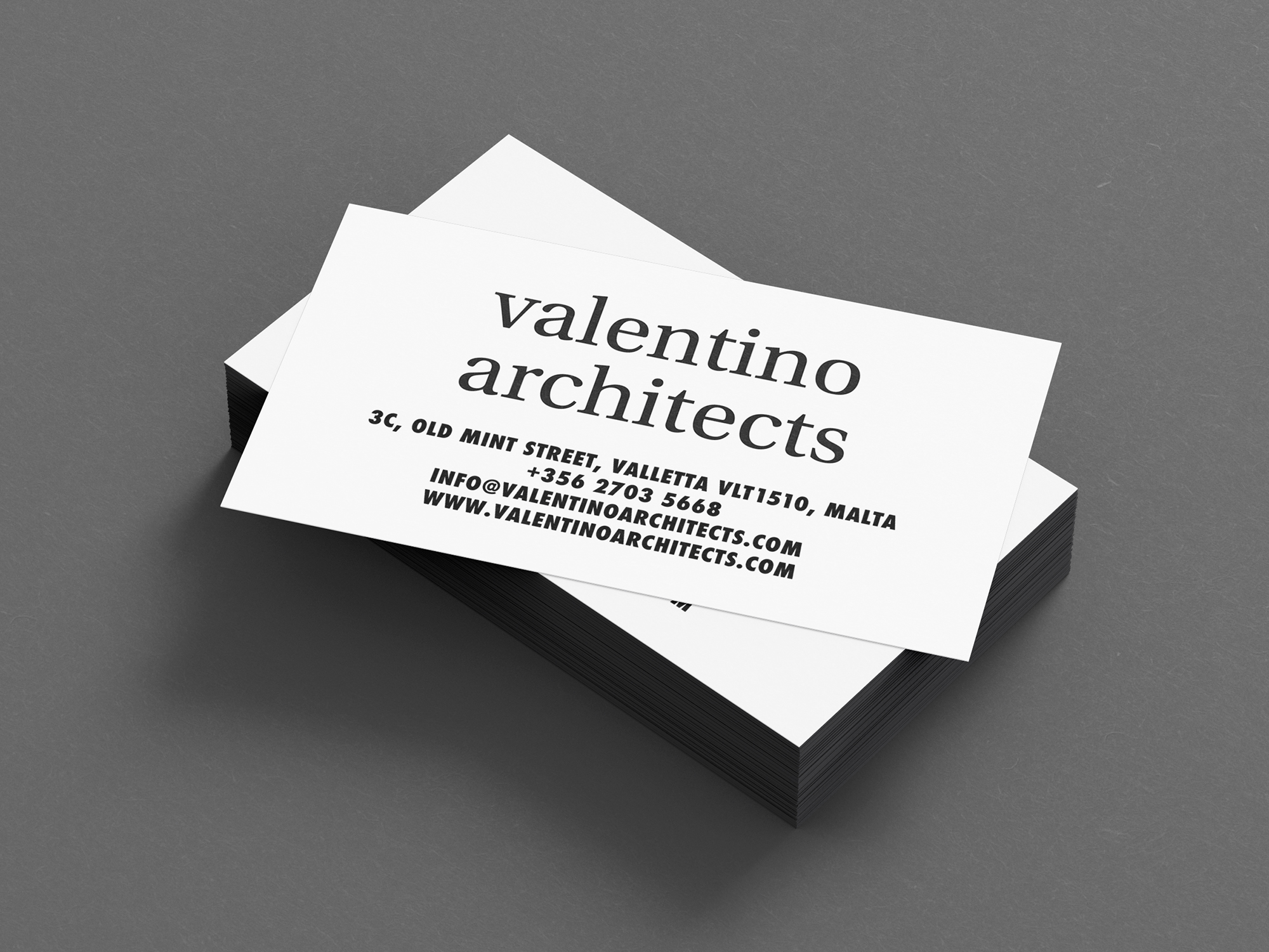 Valentino Architects logo design by Alexandra Pace